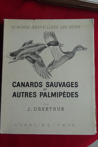 Chasse oberthur canards - j.,