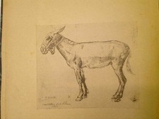 livre ancien-Deux cents