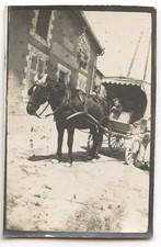 Enfants voiture à cheval carriole - photo ancienne deb. XXe s.
