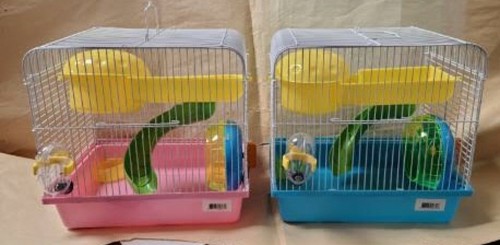 H167 small hamster - hamster, for