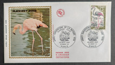 FLAMANT ROSE, Année Europeen