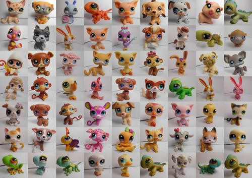 Lps littlest petshop pet - petshop,