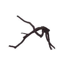 Aquarium Racine Déco Noir