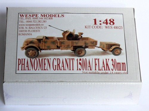 Wespe models phanomen - ,