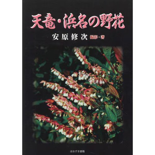 Tenryu hamana wildflowers - hamana,