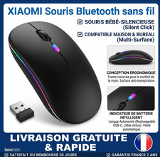 Souris Sans Fil Bluetooth +