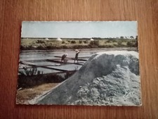 Carte Postale - ile de ré -