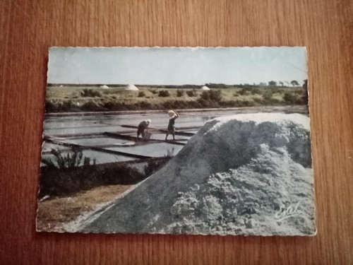 Carte postale ile ré - de,