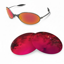 Verres polarisés de