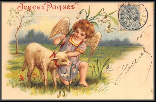 49469 111 blanc 1906 - n°111,