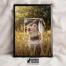 Furret Carte à Châssis