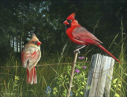 Cardinal accent decor tile - &,