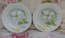 KG Luneville clématite 2