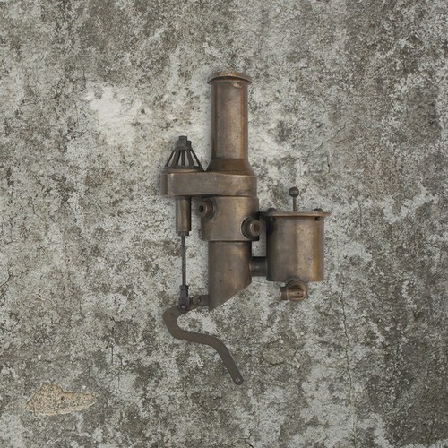Mange ferraille erba spnotanea - mange,