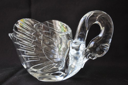 Grand cygne pour - , glaçons