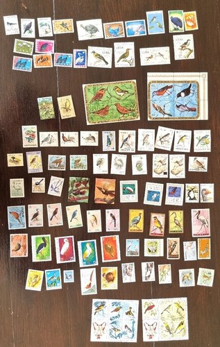 Oiseaux lot 100 timbres - oiseaux.,