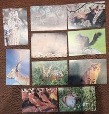 10 grandes images collection animaux 9 x 14 cm Images éditions éducatives Paris