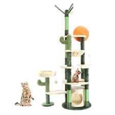 Fudajo Arbre à chat Vert