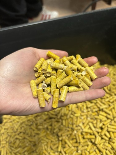 10kg pellets carpe - 10kg,