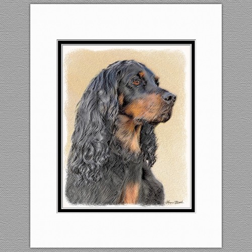 Gordon setter dog original art - setter,