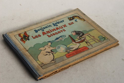 Livre illustré benjamin - illustré,