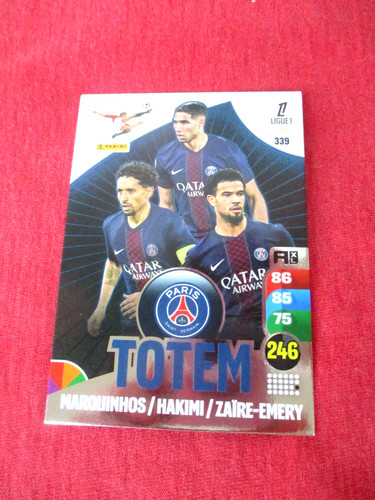 Totem psg paris 339 - psg, n°339