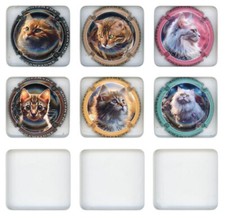 Capsules de champagne série Générique Chats Fevrier 2024