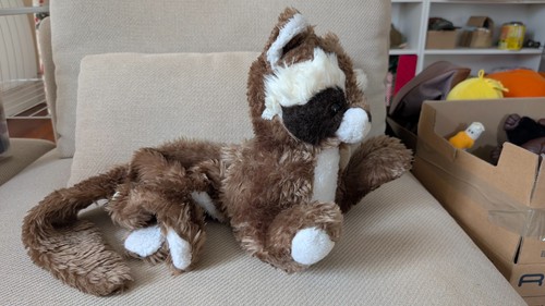 Peluche raton laveur racoon - raton,