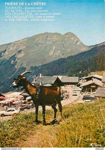 Carte postale animaux - postale,