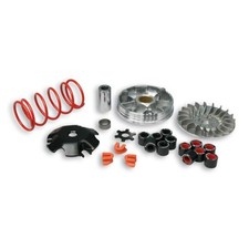 Variateur MALOSSI Multivar -