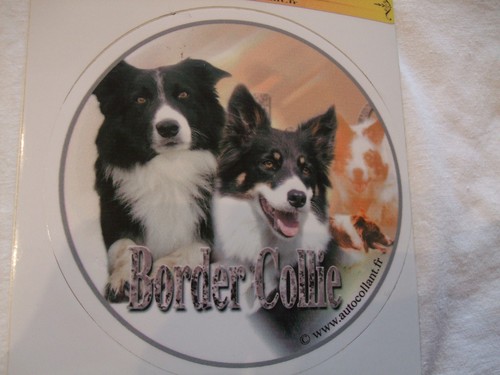 Autocollant motif chien - 1,