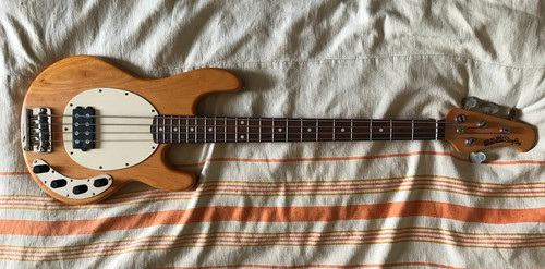 Music man stingray - man,