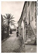 DD-BFP1-0896-66 - COLLIOURE - Une vieille rue du faubourg