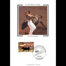 CM soie - La course Landaise -