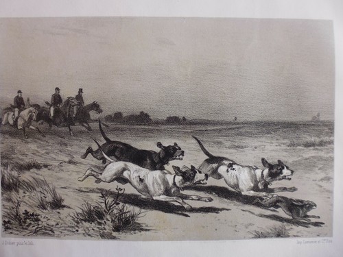 Gravure chasse la - *gravure, 19°:chasse: