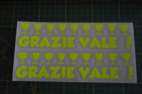 Stickers fluo grazie vale - stickers,
