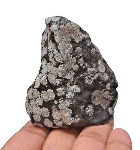 Flocon neige obsidienne - flocon, de