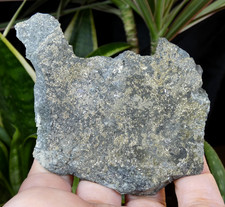 Pyrite sur Ardoise