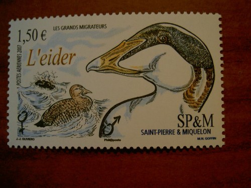 Saint pierre miquelon num - pierre, et