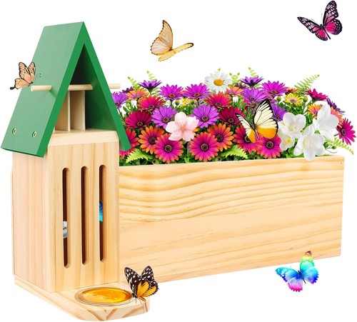 Butterfly house and - and, feeder