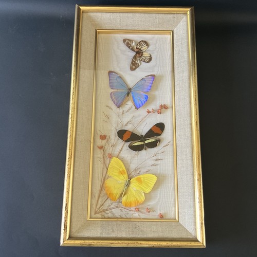 Cadre vintage papillons - 4,