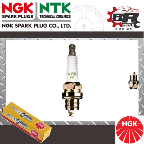 Ngk bougie neuve - ngk, marine