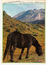 HAUTE-PYRENEES CHEVAL DE