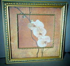 GRAND TABLEAU ORCHIDEE SOUS VITRE  FORMAT CARRE  FIN XXEME SIECLE