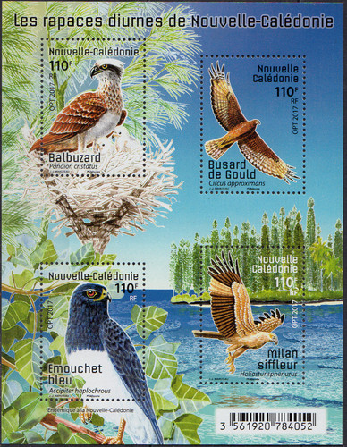 Nouvelle calédonie rapaces - nouvelle,