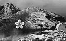 PHOTO MARSEILLE LES GOUDES 1943 FORT NAPOLEON REPRODUCTION 11.5X 17 CMS