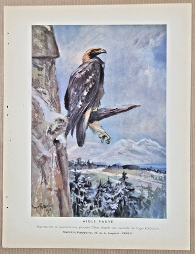 Impression 1933 aigle fauve - :,