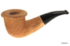 Ser Jacopo S3 (A)  - Spongia