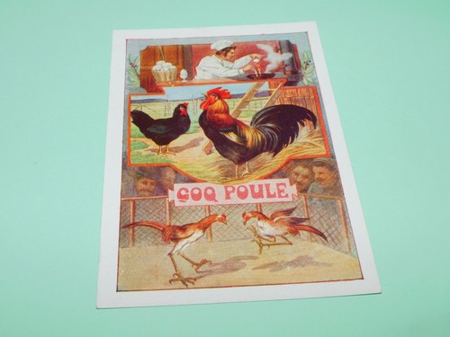 Image ancienne scolaire bon - image,