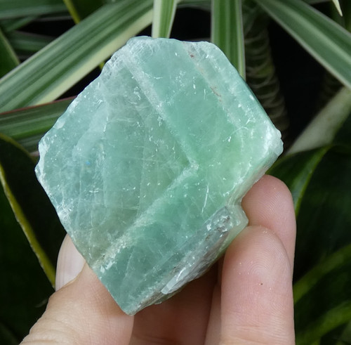 Calcite verte 5x4cm mexique - verte,